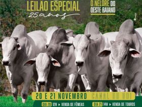 16º Leilão Prova de Ganho em Peso a Pasto do Oeste da Bahia - 25 Anos de Seleção Agro Antonio Balbino acontece semana que vem! 
