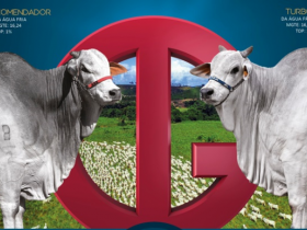 Regiões de referência da pecuária de corte já contam com genética própria