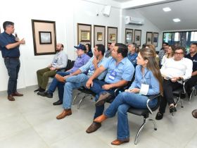 Parceria entre ABCZ e ApexBrasil, Brazilian Cattle cresce mais de 30%