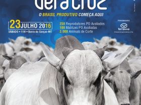 Fazenda Vera Cruz promove leilão com chancelas do PMGZ e Pró-Genética