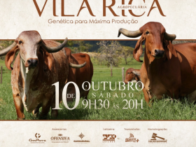 'Mega Leilão Vila Rica' irá ofertar 51 exemplares de GIR no próximo sábado (10)