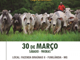 Dia de Campo na Fazenda Braúnas vai destacar o PMGZ