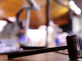 Leilões da 88ª ExpoZebu ultrapassam a marca de R$ 5 milhões