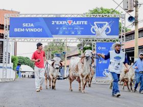 2ª ExpoLeite valoriza negócios do agro