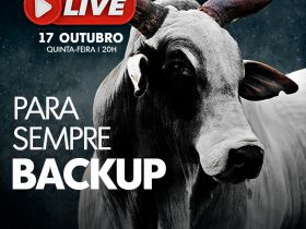ABCZ TV retransmitirá live em homenagem a touro Backup, ícone da raça Nelore