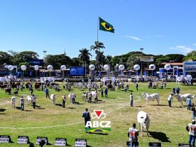 Confira os destaques da programação desta sexta-feira (1º) na 91ª ExpoZebu