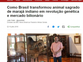 BBC divulga material sobre o Zebu