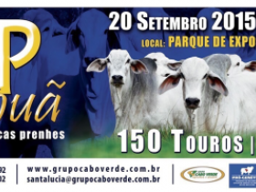 Oferta de Tabapuã com chancela Pró-Genética é destaque no Pará 