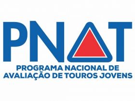 ABCZ divulga fotos e vídeos dos touros PNAT 2023