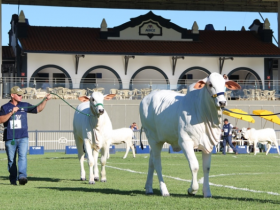 Times de pista são apresentados na Expoinel Minas 