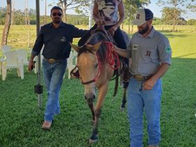 88ª ExpoZebu: Projeto Meu Amigo Animal movimenta ABCZ Equishow
