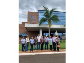 Leilão solidário une Instituto Boa Fé, Zebu do Bem (ABCZ) e Agro Contra o Câncer 