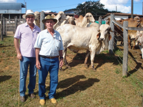 O Estado mais forte do Pró-Genética mantém ritmo de expansão 