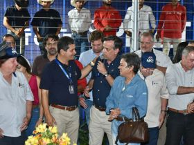 6º Leilão PNAT reúne criadores de todo o país