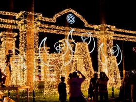 ‘Natal Cultural no Parque 2021’ segue até o próximo dia 2 de janeiro