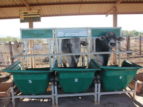 Divulgado resultado do Teste de Desempenho e Eficiência Alimentar  do PNAT  