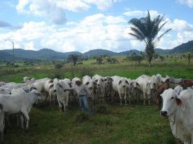 ABCZ ampliará agenda de cursos pelo Brasil