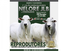 1º Leilão Reprodutores Nelore JLB e Convidados oferece touros com padrão Pró-Genética
