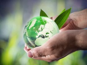 Fazu abre inscrições para o Fórum Latino-Americano do Agronegócio Sustentável