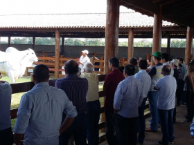 Espírito Santo sedia Dia de Campo, Capacitação e Circuito PMGZ 