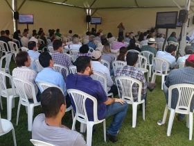 Dia de Campo reúne mais de 200 pecuaristas e técnicos no MS