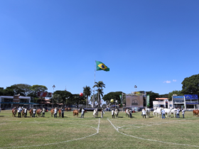 ExpoZebu 2018: Já são conhecidas as campeãs do Campeonato Matriz Modelo 