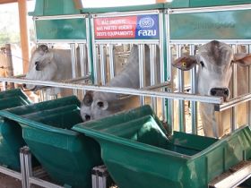 ABCZ oficializa o início das inscrições para o PNAT 2020