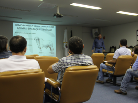 Curso de escrituração zootécnica reúne criadores e técnicos na ABCZ