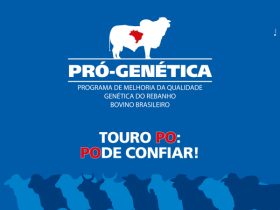 Pró-Genética online muda filtro e amplia oferta de touros