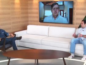 Lançada a 7ª edição do Sumário de Touros ABCZ/ Geneplus