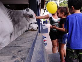 ExpoZebu: confira a programação para esta sexta-feira (03)
