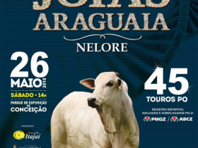 ?Joias do Araguaia? vai ofertar touros Nelore PO