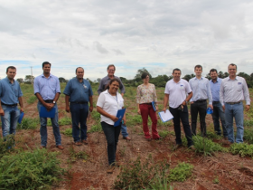ExpoZebu Dinâmica terá área de pecuária intensiva modelo 