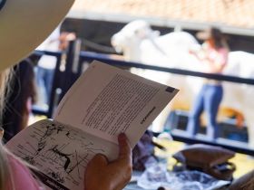 1º Workshop Mulheres do Zebu oferece conhecimento técnico para criadoras