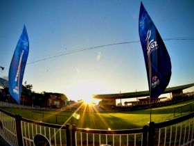 16ª ExpoGenética: Confira a programação para hoje (22)