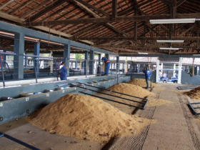 Preparativos para a ExpoGenética 2017 movimentam o Parque Fernando Costa