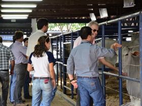 Criadores comentam o porquê de participar da ExpoGenética