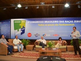 Pecuária tem ainda excelentes oportunidades de otimização via melhoramento genético 