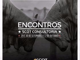 Adubação de pastagens, pecuária de cria e de leite são tema de encontro da Scot Consultoria