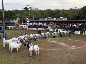 ABCZ participa da 73ª Expoapi, em Teresina (PI)