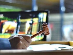 Temporada de leilões e shoppings da 16ª ExpoGenética começa amanhã (15)