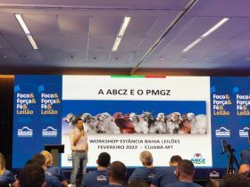 PMGZ é destaque durante workshop da Estância Bahia Leilões