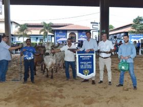 Anunciadas as Campeãs do Torneio Leiteiro da ExpoLeite
