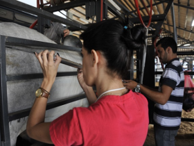 Alunos da FAZU participam de diversas atividades na ExpoZebu