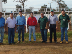 Pró-Genética terá quatro feiras nas próximas semanas