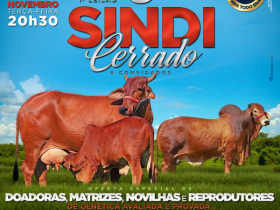 ?1º Leilão Sindi Cerrado & convidados? será realizado no próximo dia 24