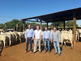 Visita técnica da ABCZ destaca resultados do PMGZ na Esalq/USP