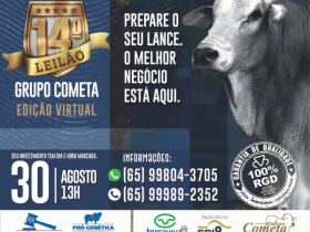 ?14º Leilão do Grupo Cometa? será realizado no próximo domingo (30)