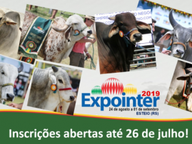 Expointer abre inscrições para zebuínos