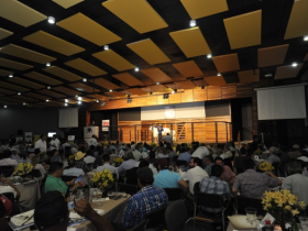 Leilões da ExpoZebu 2015 ultrapassam R$26 milhões